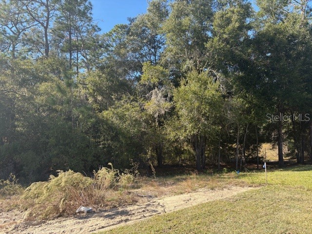 7758 SW 180th Circle Dunnellon FL 34432 OM713414 image12