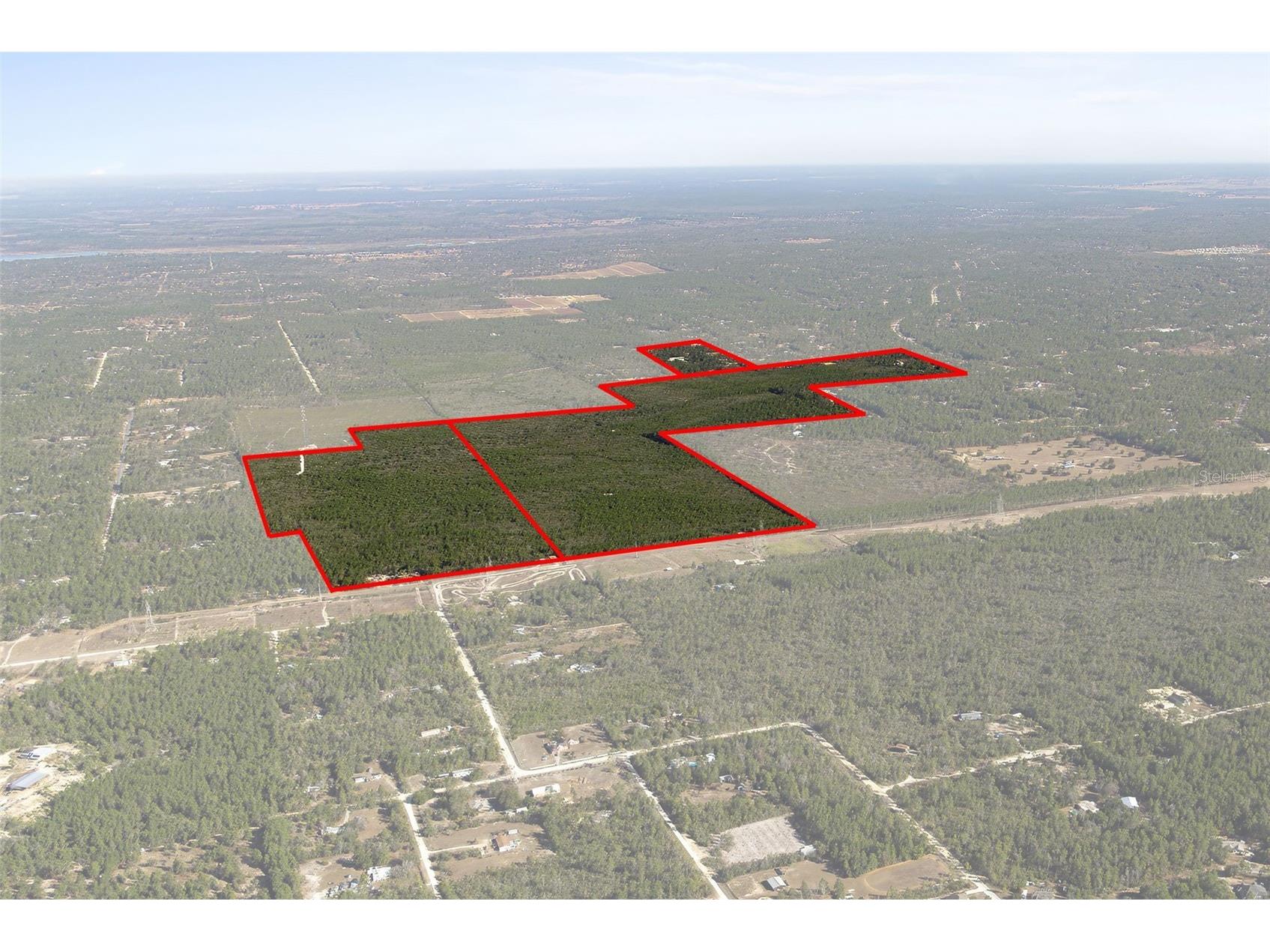 7759 N Freemantle Way Dunnellon FL 34433 OM716776 image1