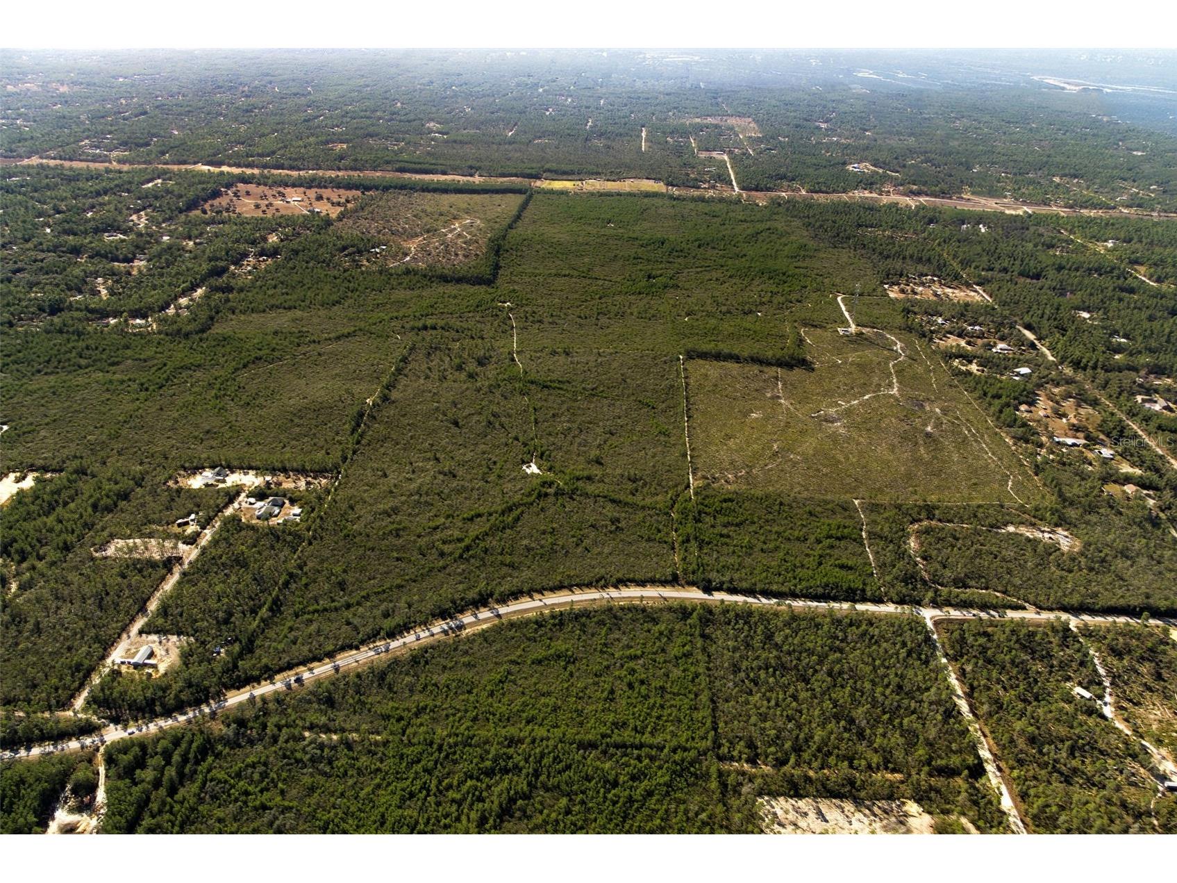 7759 N Freemantle Way Dunnellon FL 34433 OM716776 image21