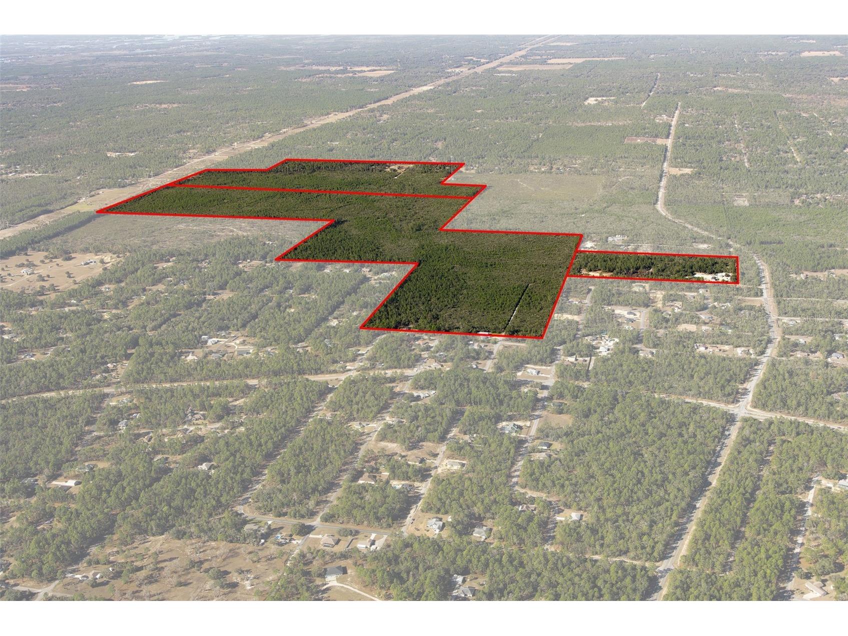 7759 N Freemantle Way Dunnellon FL 34433 OM716776 image5