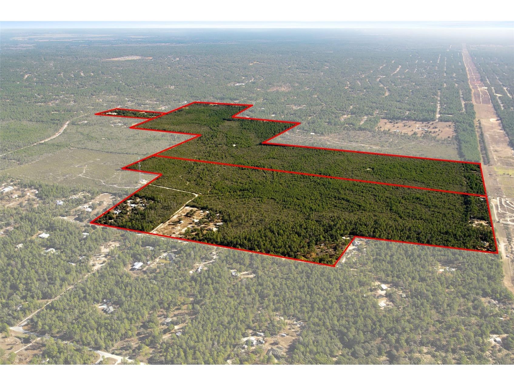 7759 N Freemantle Way Dunnellon FL 34433 OM716776 image8