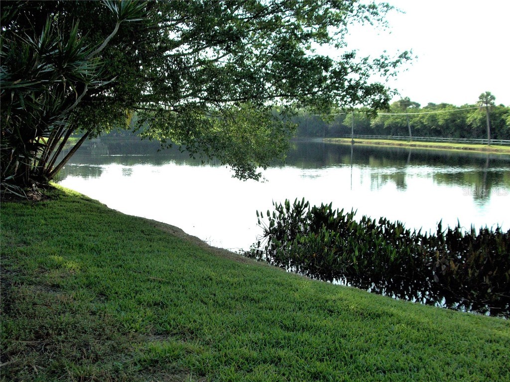 776 116th Avenue #1111 Saint Petersburg FL 33716 TB8457246 image18