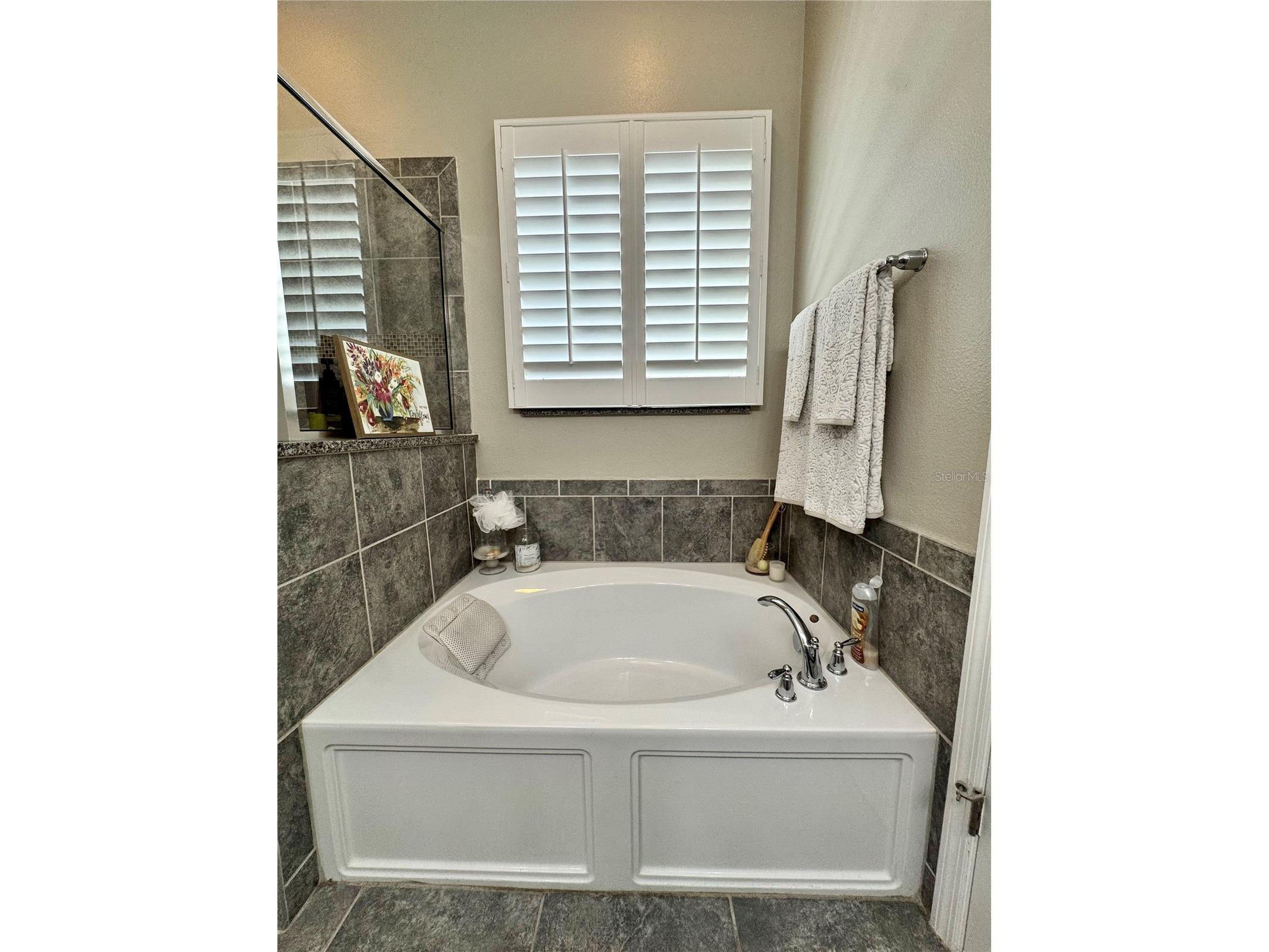 7761 Laureate Boulevard Orlando FL 32827 O6392462 image12