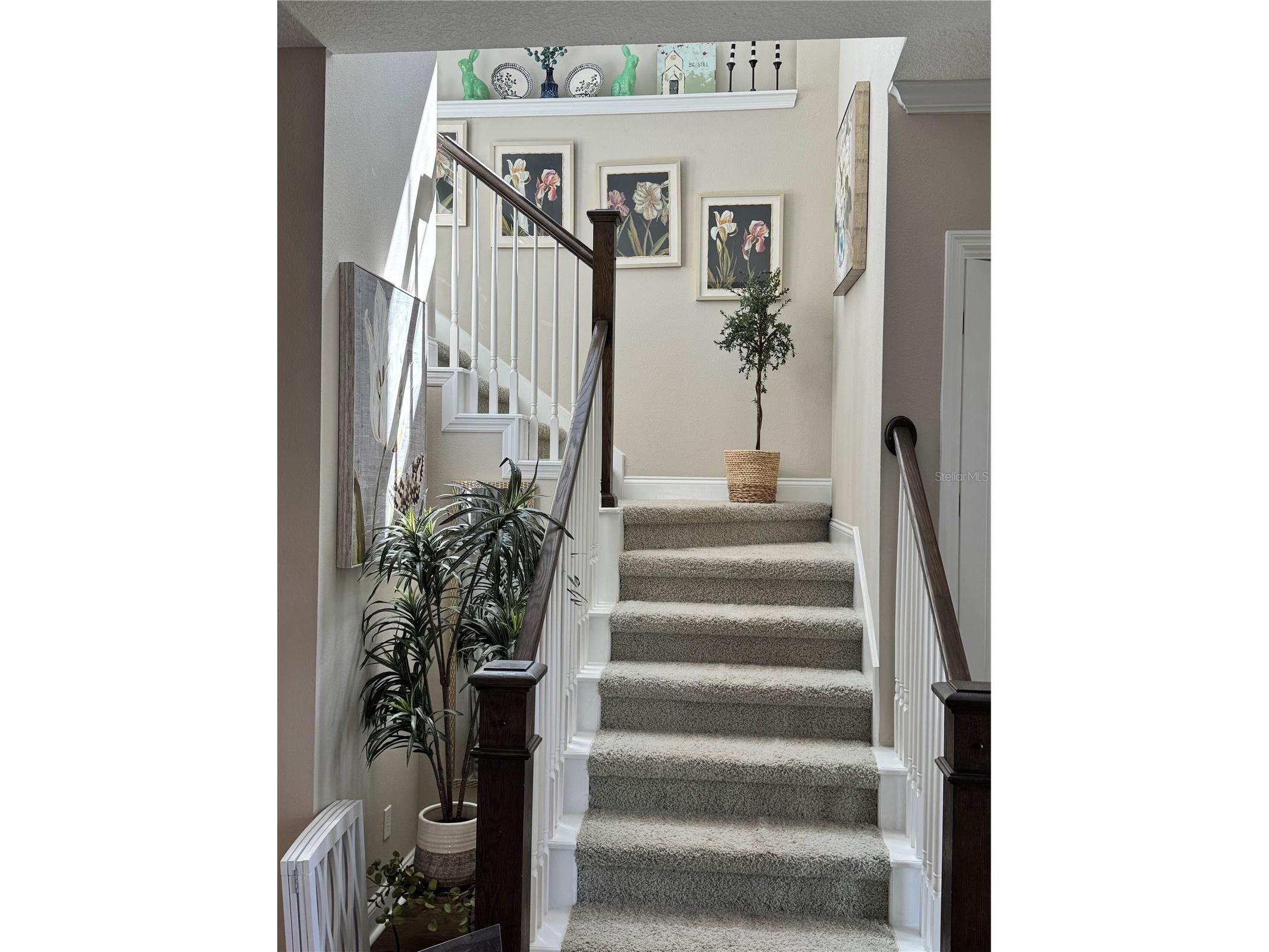 7761 Laureate Boulevard Orlando FL 32827 O6392462 image16