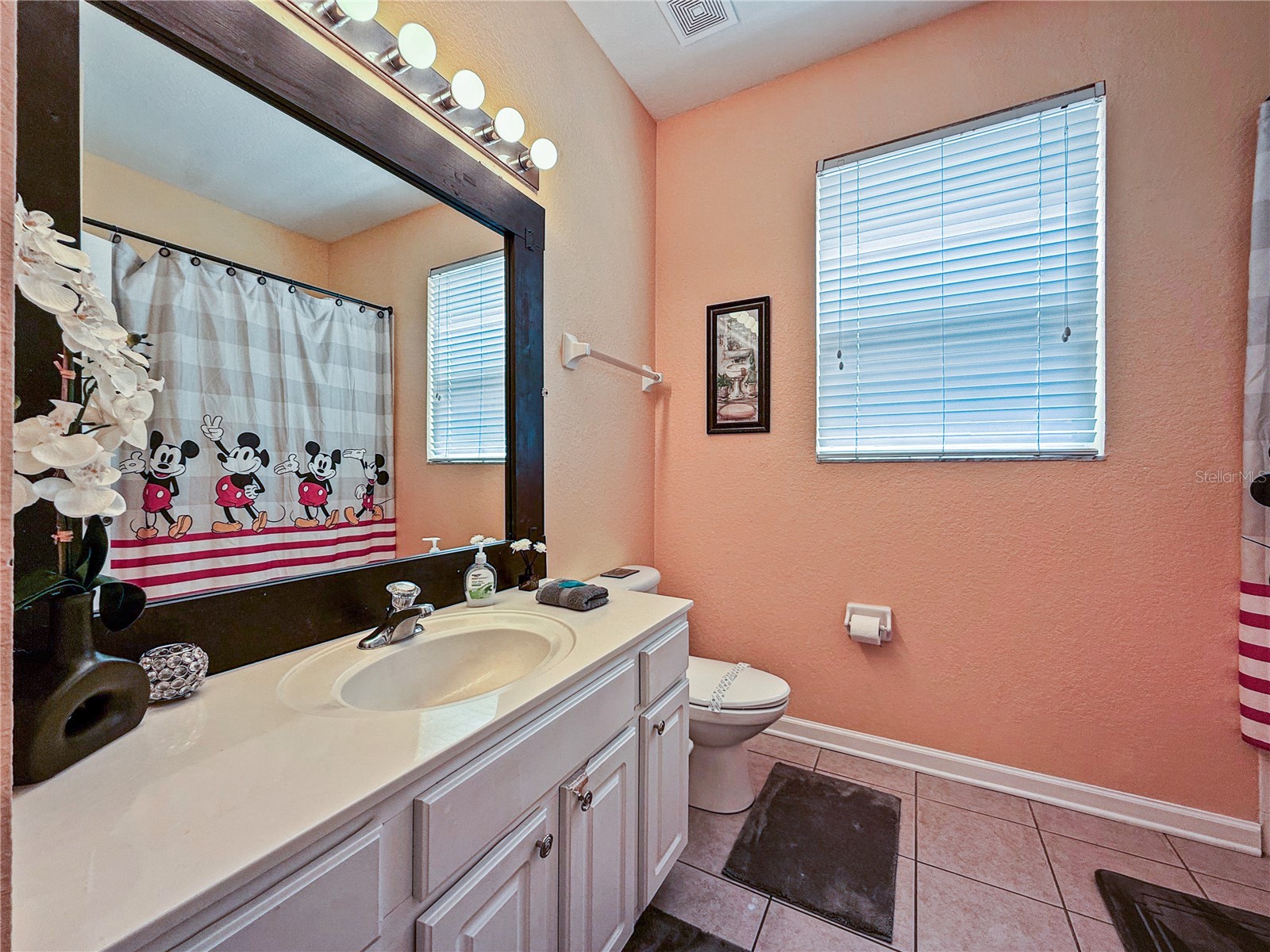 7763 Tosteth Street Kissimmee FL 34747 O6406217 image28