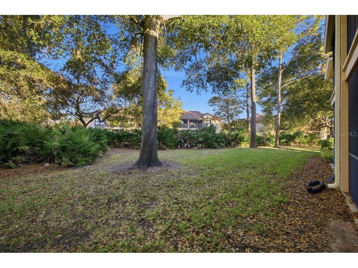 7764 Sugar Bend Drive #7764 Orlando FL 32819 O6375535 image35