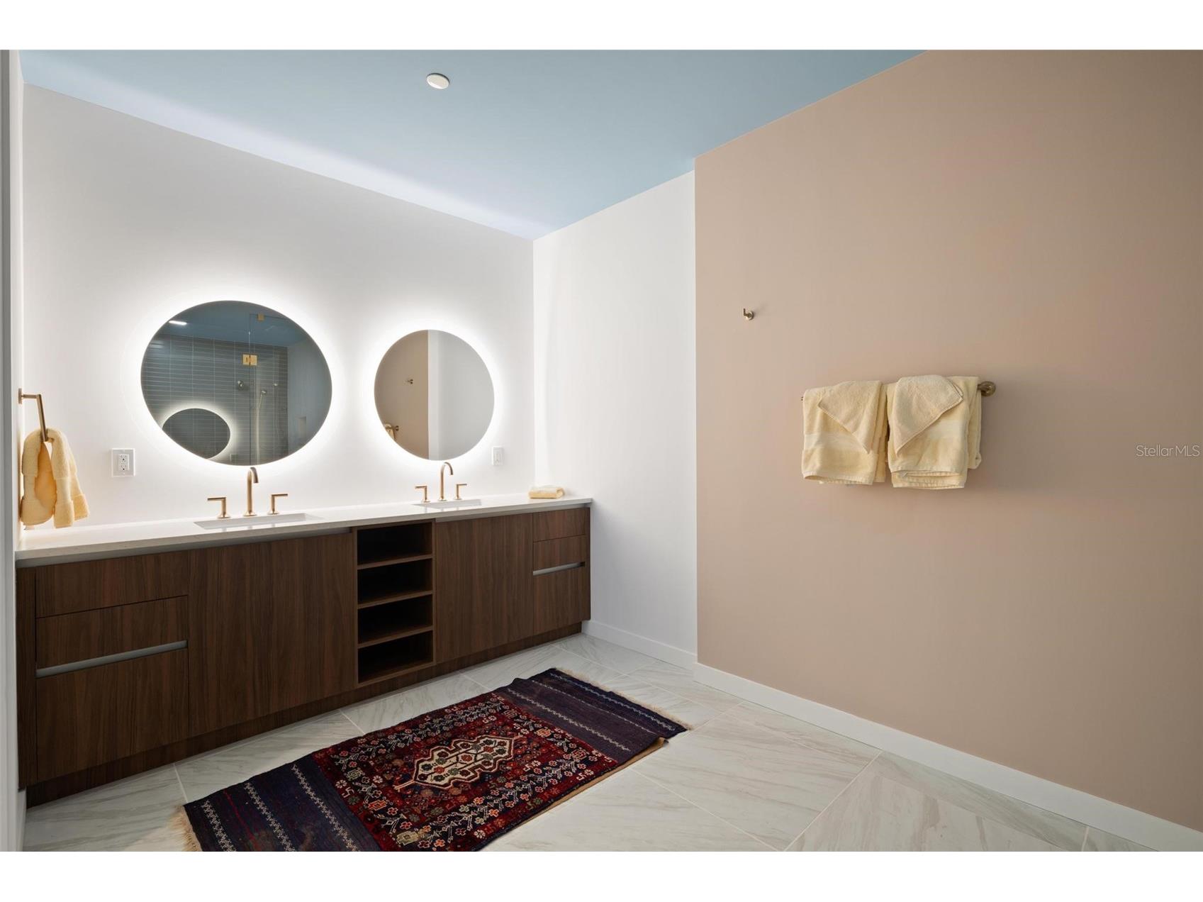 777 3rd Ave N #1403 Saint Petersburg FL 33701 TB8379797 image16