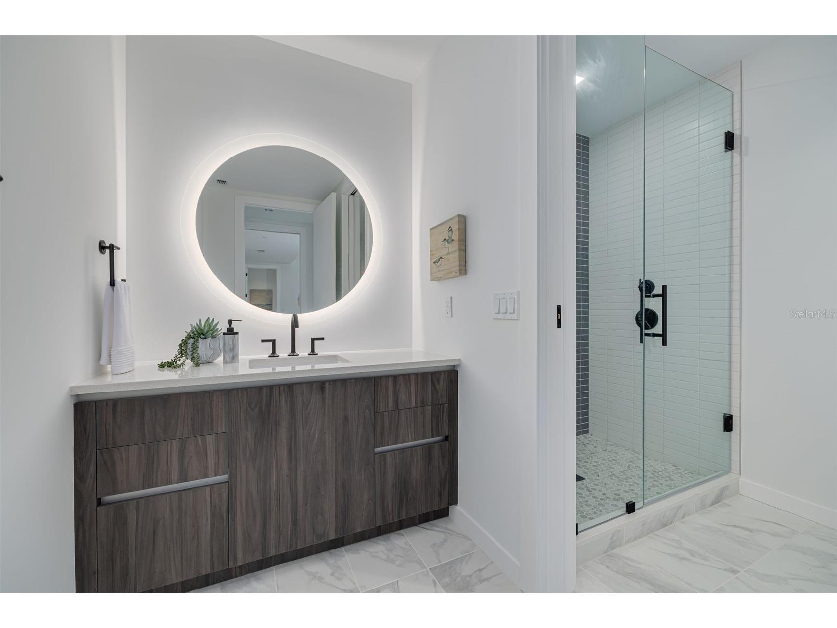 777 3rd Avenue N #1104 Saint Petersburg FL 33701 TB8509036 image33