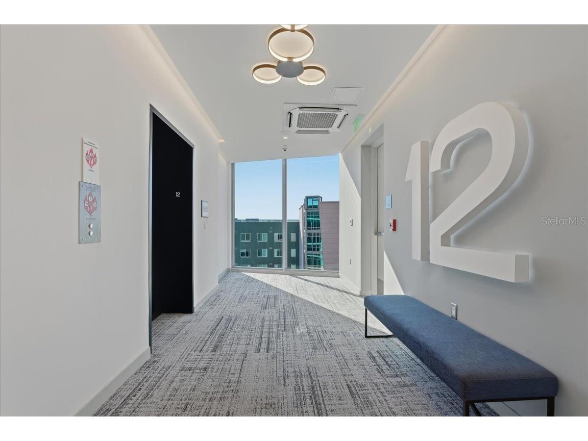 777 3rd Avenue N #1202 Saint Petersburg FL 33701 - TAMPA BAY TB8481990 image10