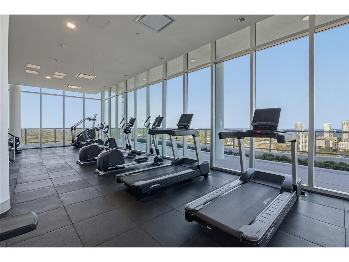777 3rd Avenue N #1202 Saint Petersburg FL 33701 - TAMPA BAY TB8481990 image40