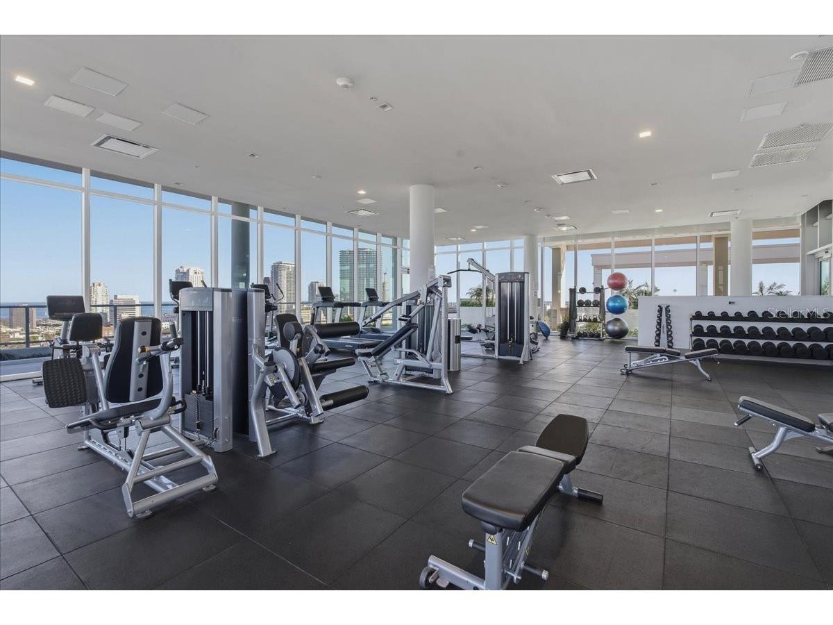 777 3rd Avenue N #1202 Saint Petersburg FL 33701 - TAMPA BAY TB8481990 image41