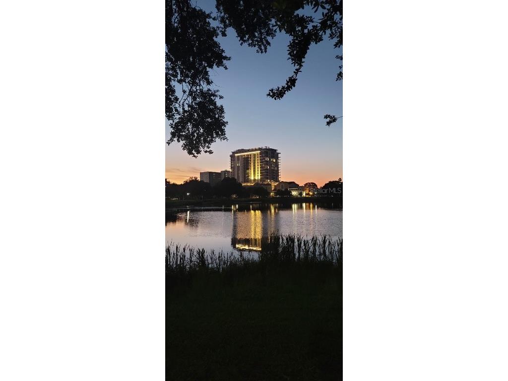 777 3rd Avenue N #1503 Saint Petersburg FL 33701 TB8398055 image1