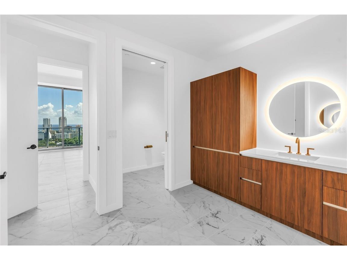 777 3rd Avenue N #1704 Saint Petersburg FL 33701 TB8398052 image20