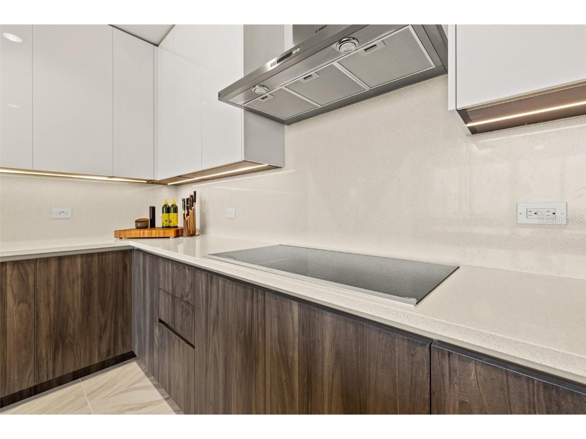 777 3rd Avenue N #806 Saint Petersburg FL 33701 TB8404616 image17