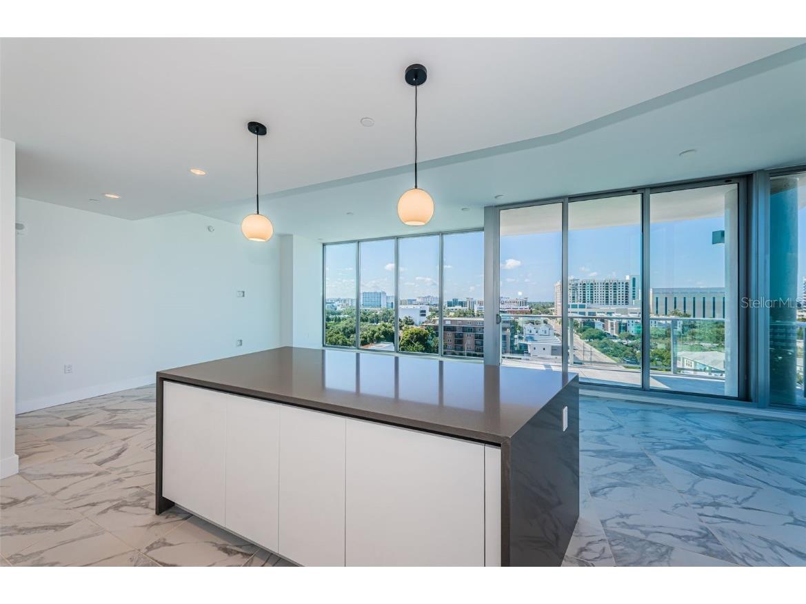 777 3rd Avenue N #908 Saint Petersburg FL 33701 U8252597 image19