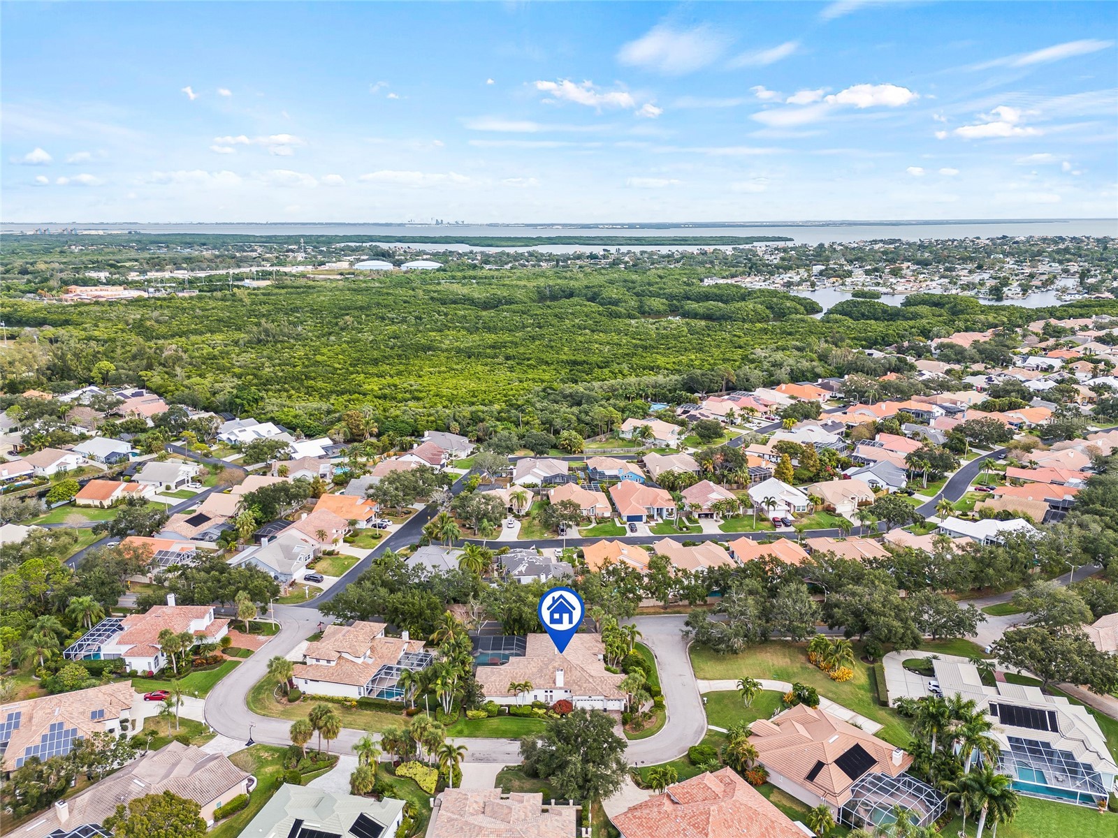 777 Cattail Court NE Saint Petersburg FL 33703 TB8432825 image4