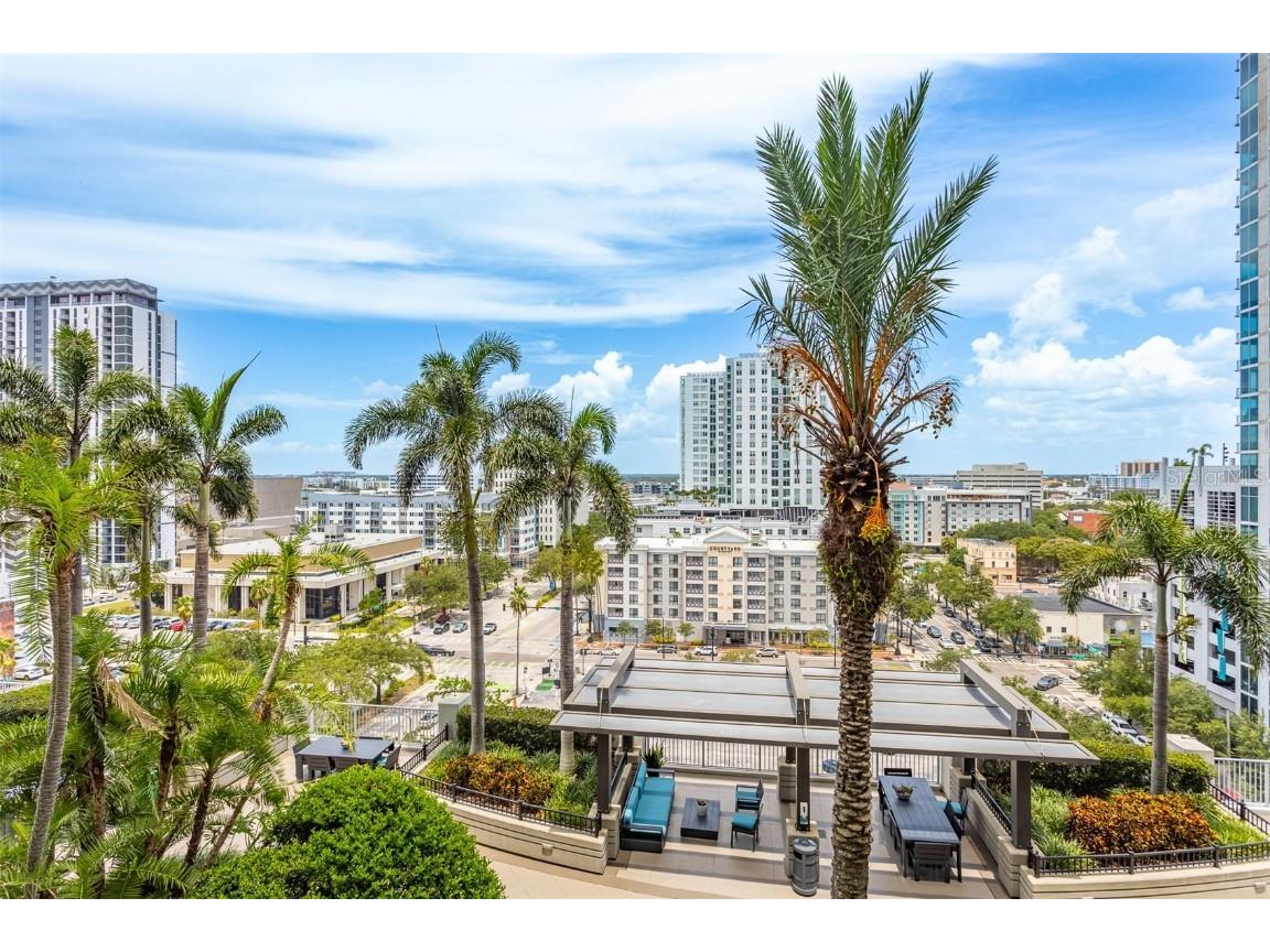 777 N Ashley Drive #1009 Tampa FL 33602 - HILLSBOROUGH RIVER TB8415220 image42