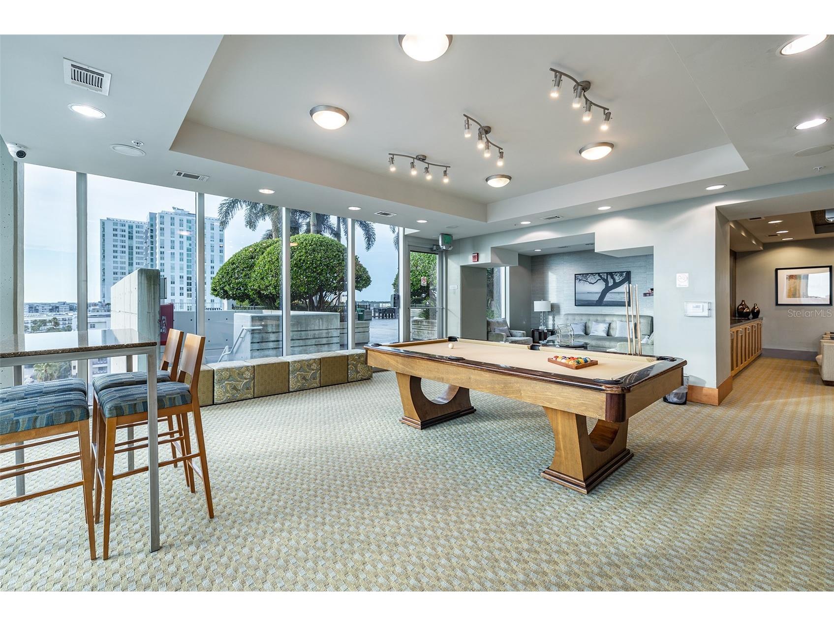 777 N Ashley Drive #1108 Tampa FL 33602 TB8413290 image42