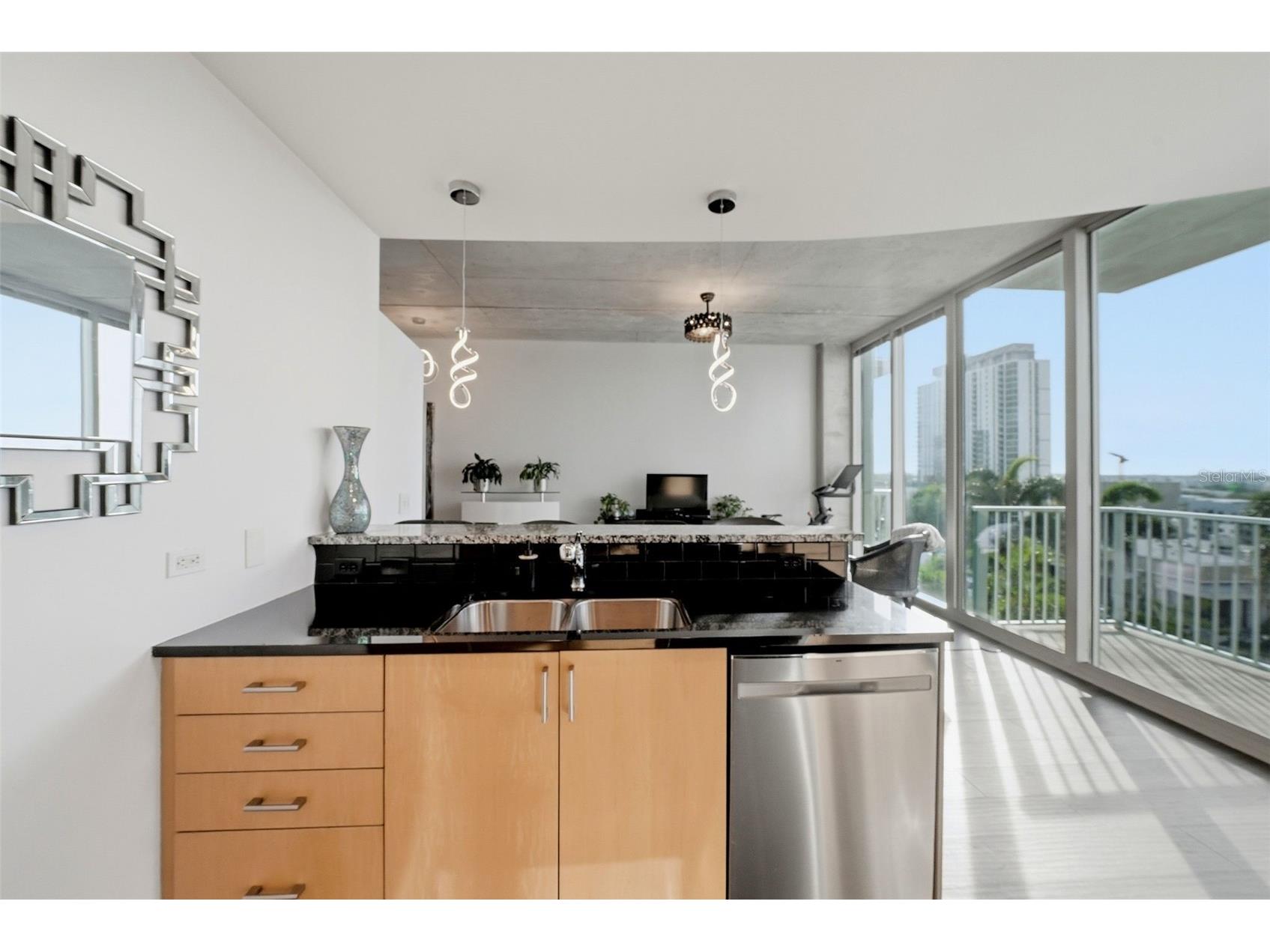 777 N Ashley Drive #1109 Tampa FL 33602 - HILLSBOROUGH RIVER L4962329 image11
