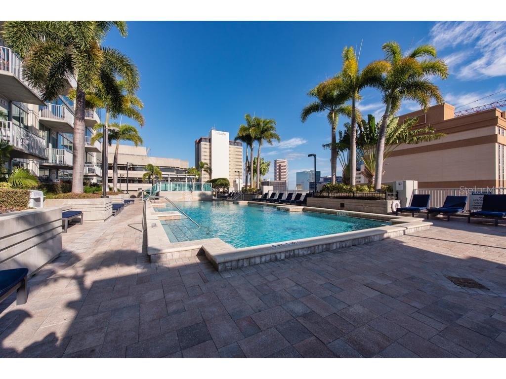 777 N Ashley Drive #1506 Tampa FL 33602 TB8445893 image20