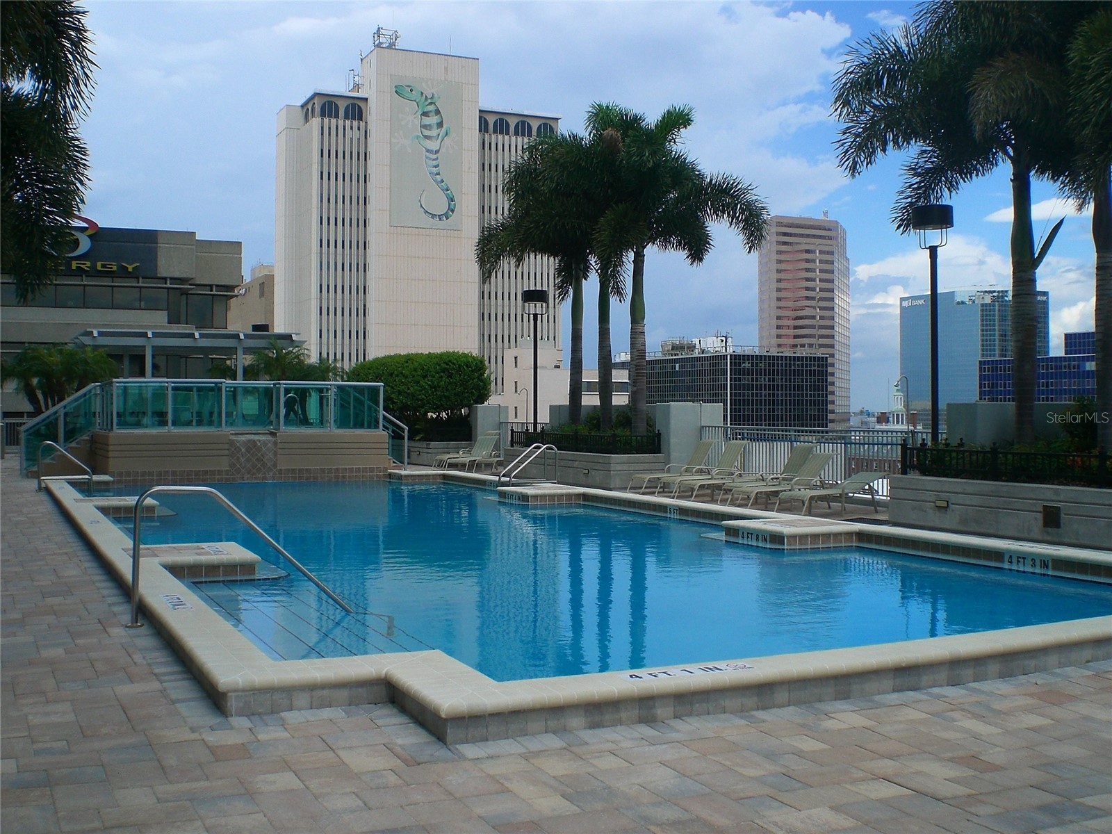 777 N Ashley Drive #1806 Tampa FL 33602 TB8498093 image11