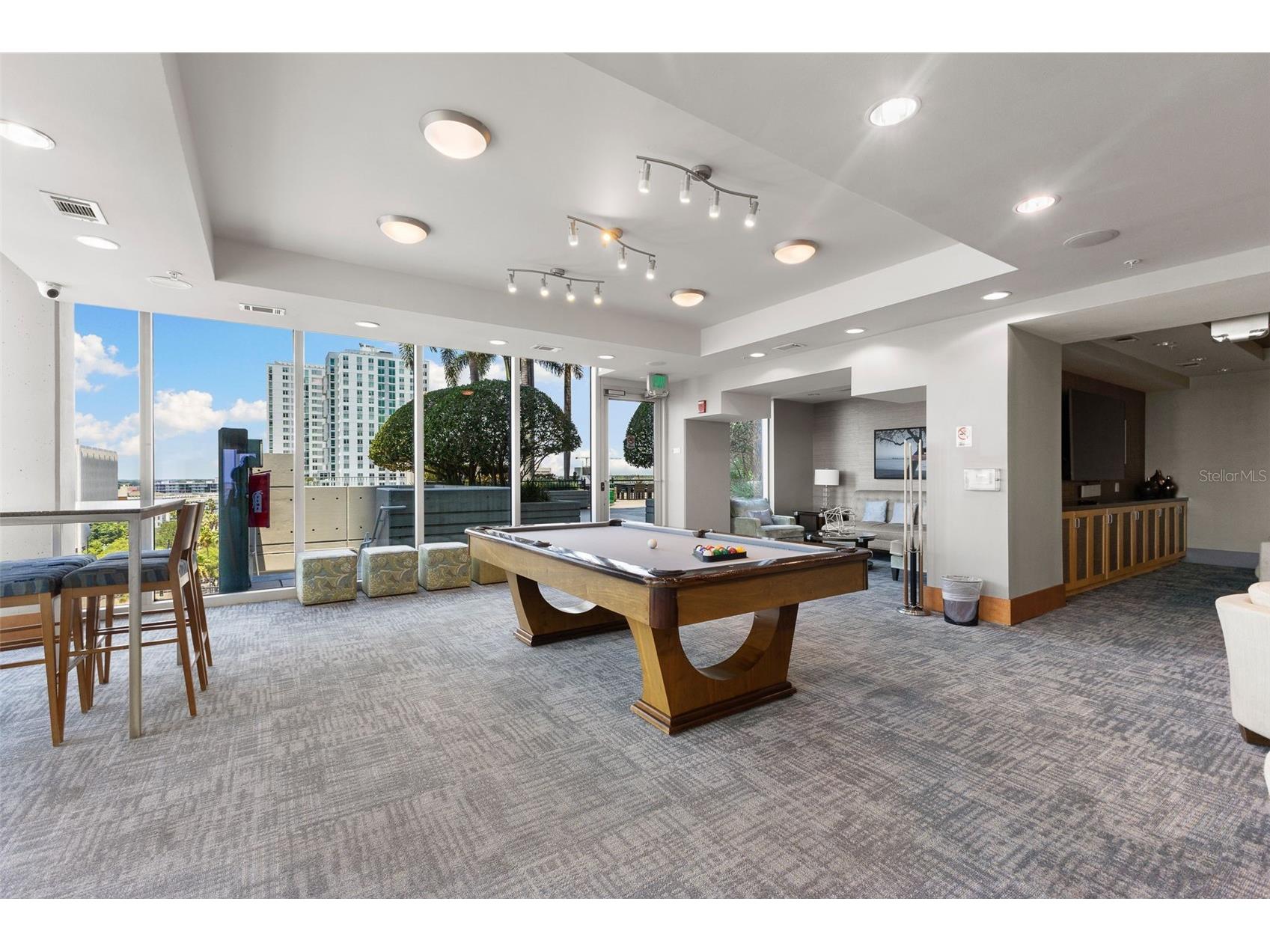 777 N Ashley Drive #2514 Tampa FL 33602 TB8523404 image52