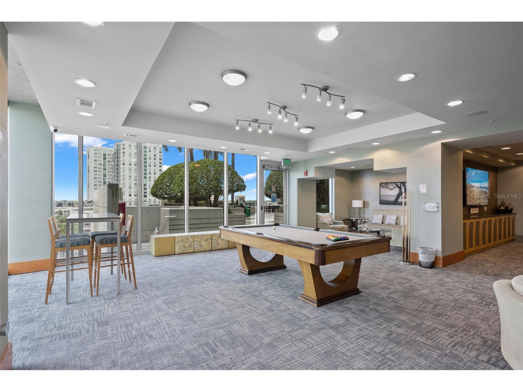 777 N Ashley Drive #3013 Tampa FL 33602 TB8478489 image51