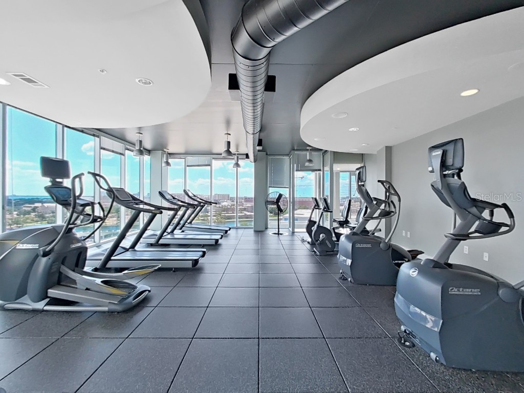 777 N Ashley Drive #807 Tampa FL 33602 TB8418533 image37