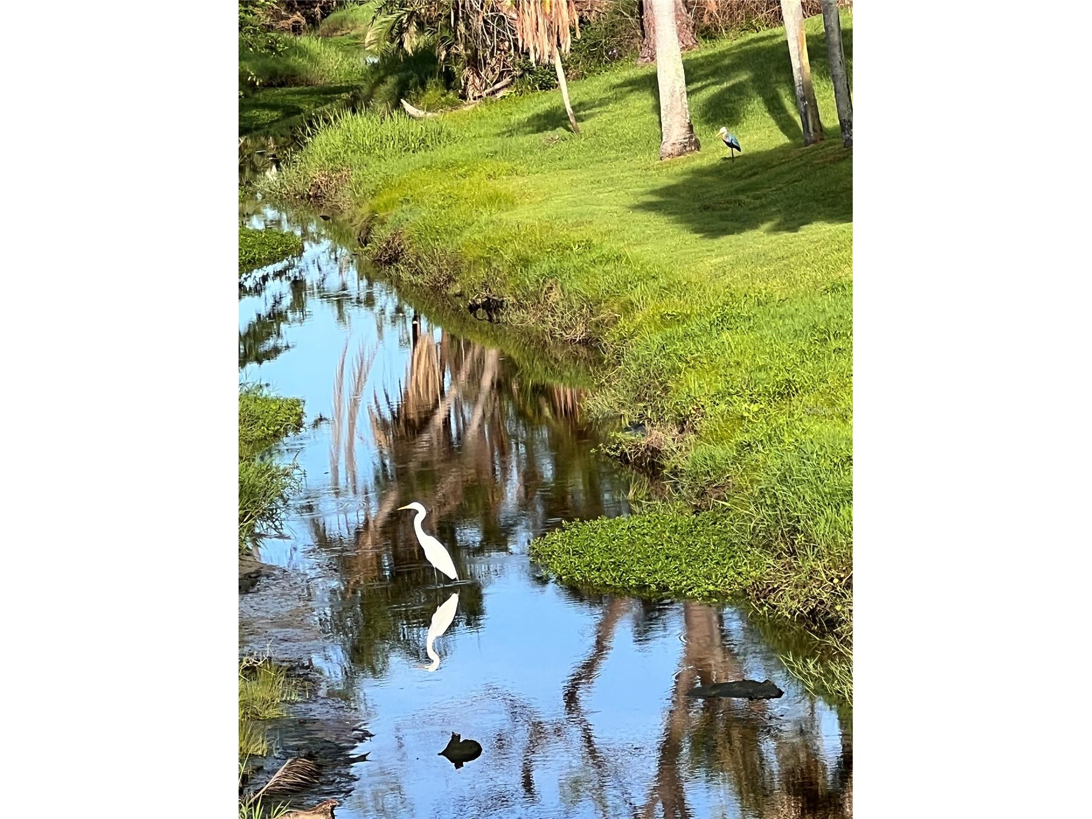 777 N Green Circle #152 Venice FL 34285 A4658902 image21
