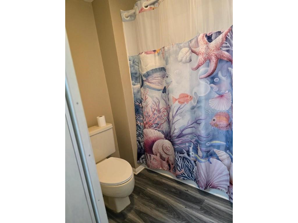 777 Robin Avenue Palm Harbor FL 34683 O6339179 image39