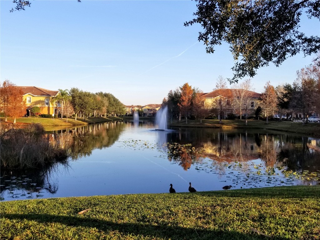 7770 Moonstone Drive #7-104 Sarasota FL 34233 A4662555 image19