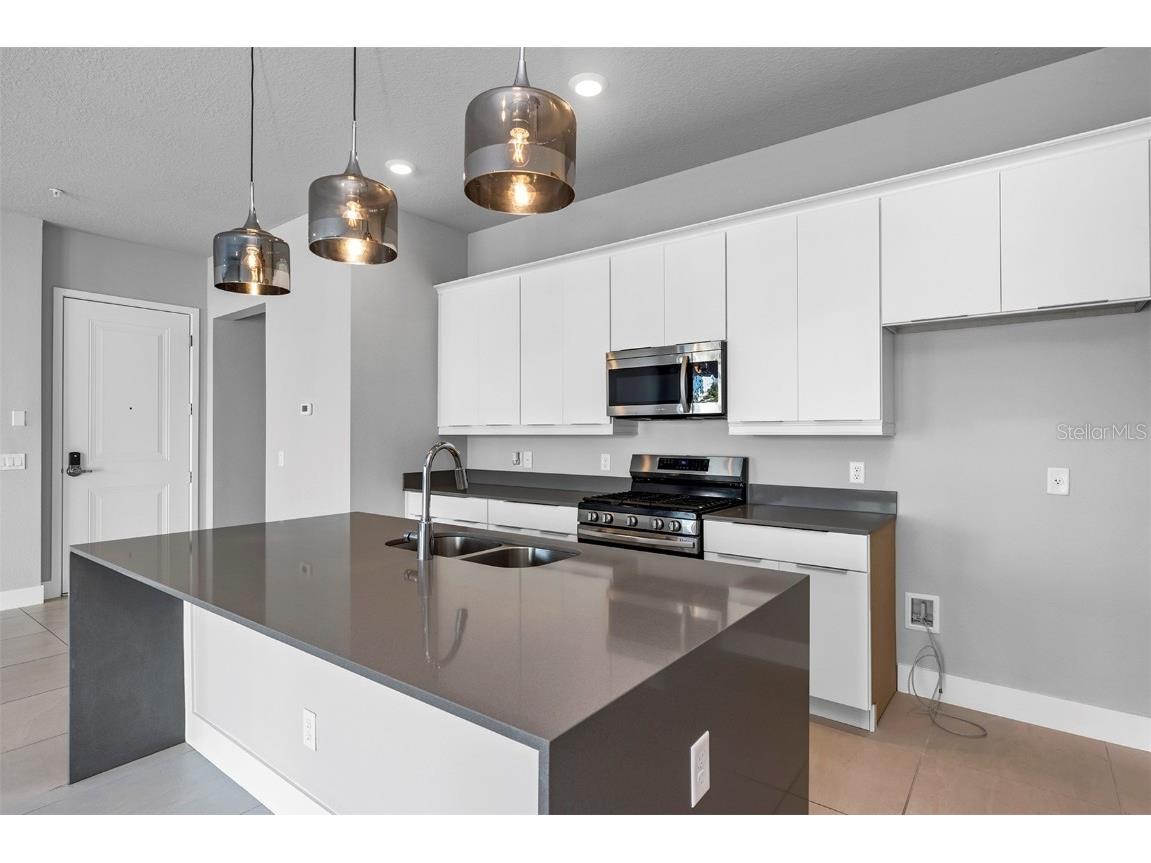 7770 Sandy Ridge Drive #129 Reunion FL 34747 TB8448948 image6