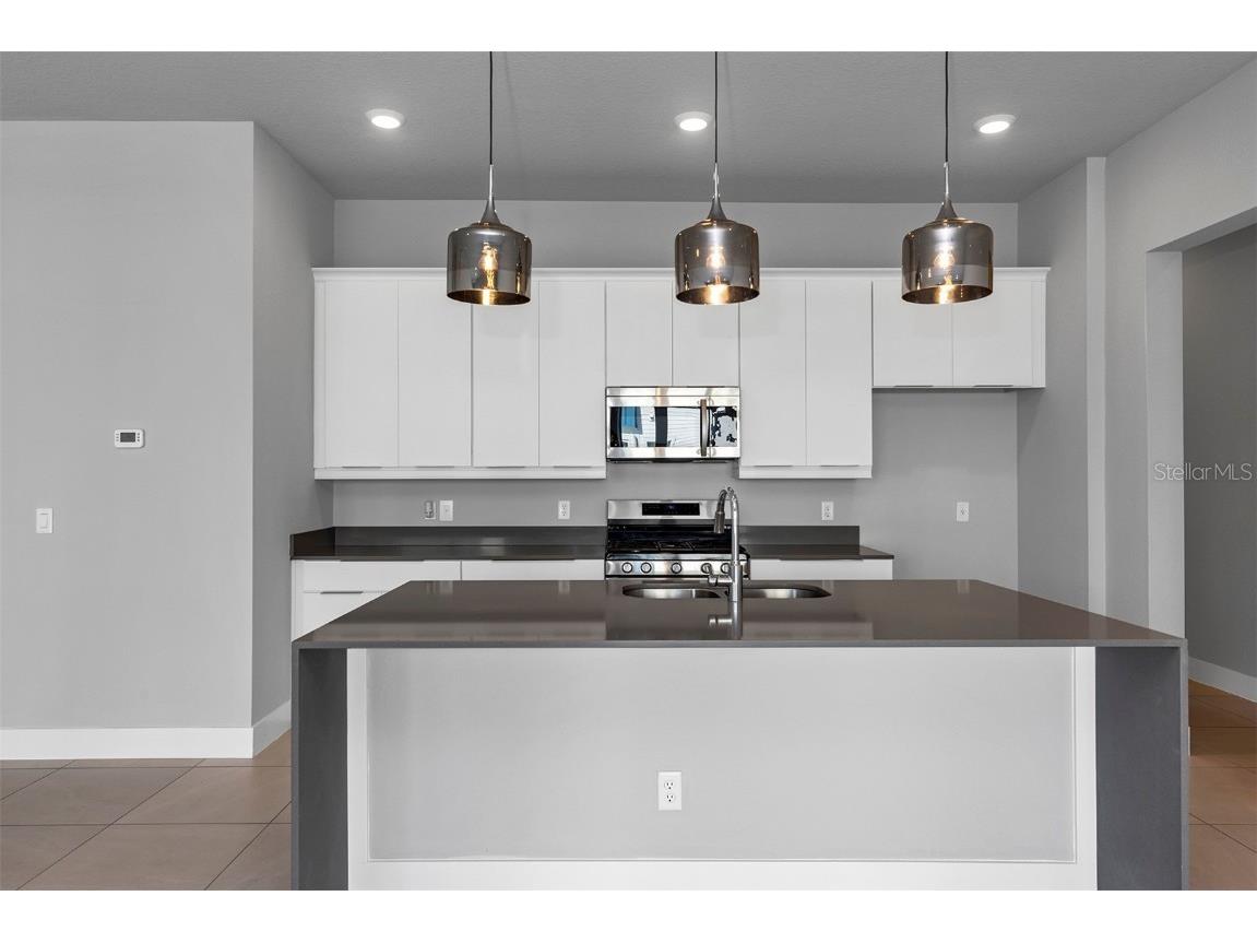 7770 Sandy Ridge Drive #129 Reunion FL 34747 TB8448948 image7