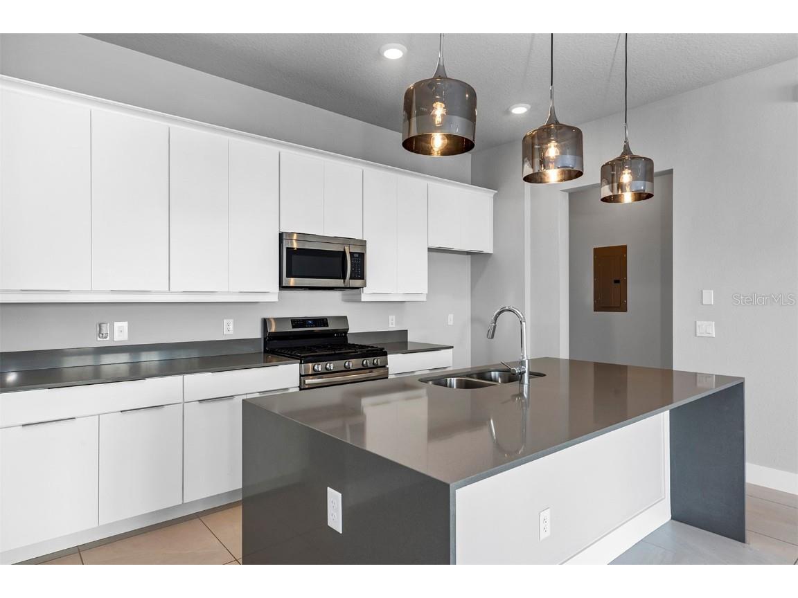 7770 Sandy Ridge Drive #129 Reunion FL 34747 TB8448948 image8