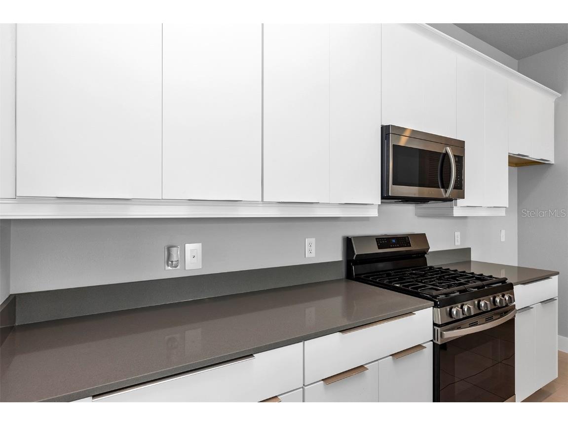 7770 Sandy Ridge Drive #129 Reunion FL 34747 TB8448948 image9