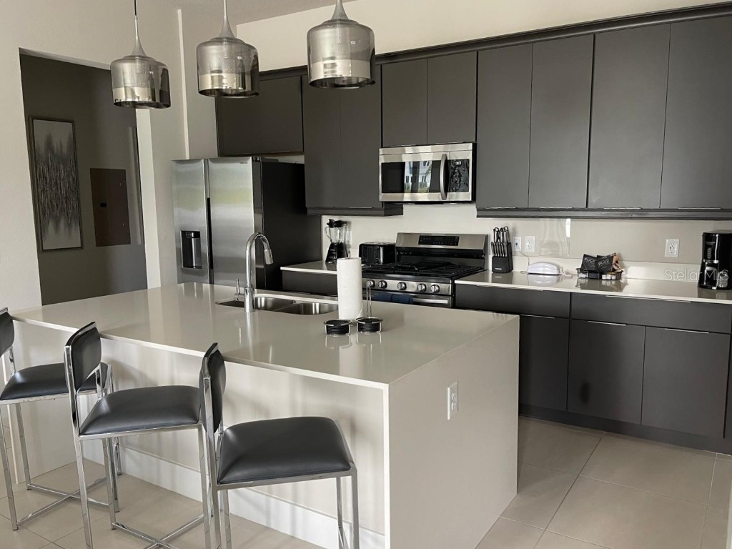 7770 Sandy Ridge Drive #145 Reunion FL 34747 O6297599 image6