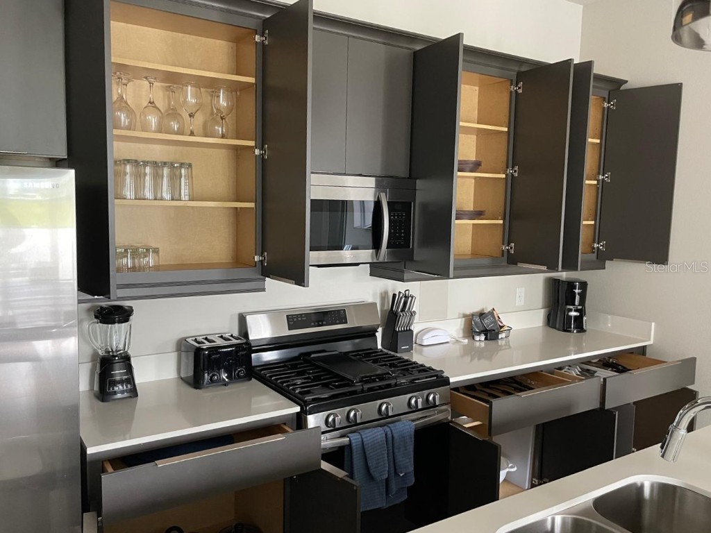 7770 Sandy Ridge Drive #145 Reunion FL 34747 O6297599 image8