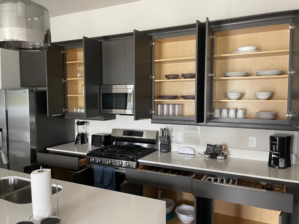 7770 Sandy Ridge Drive #145 Reunion FL 34747 O6297599 image9