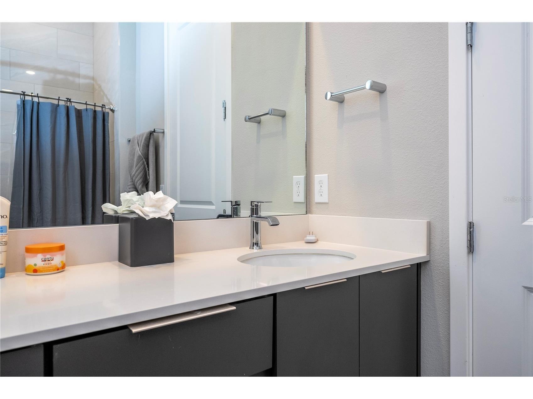 7770 Sandy Ridge Drive #219 Reunion FL 34747 O6297178 image60