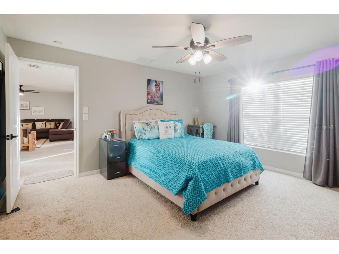 7771 Davie Ray Drive Zephyrhills FL 33540 TB8447146 image15