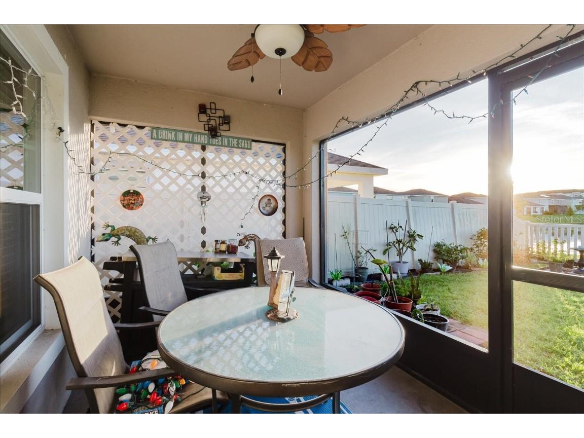 7771 Davie Ray Drive Zephyrhills FL 33540 TB8447146 image22