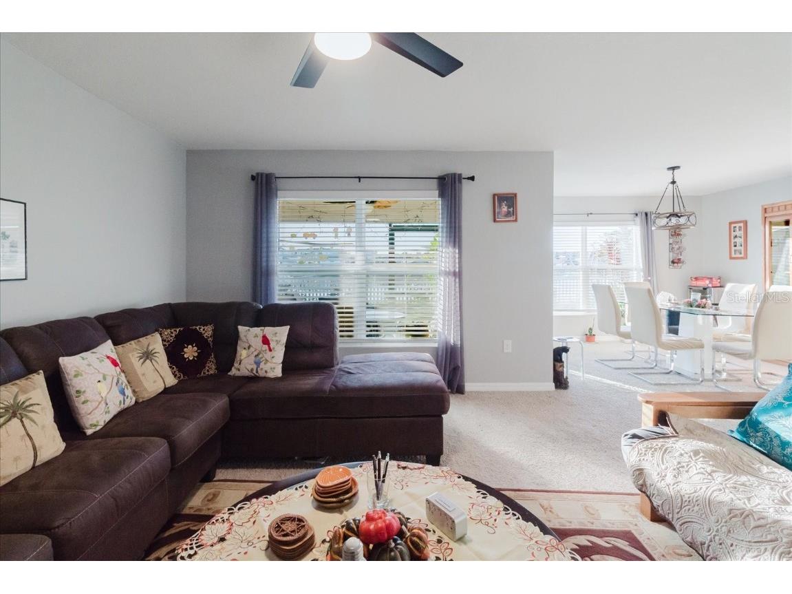 7771 Davie Ray Drive Zephyrhills FL 33540 TB8447146 image9