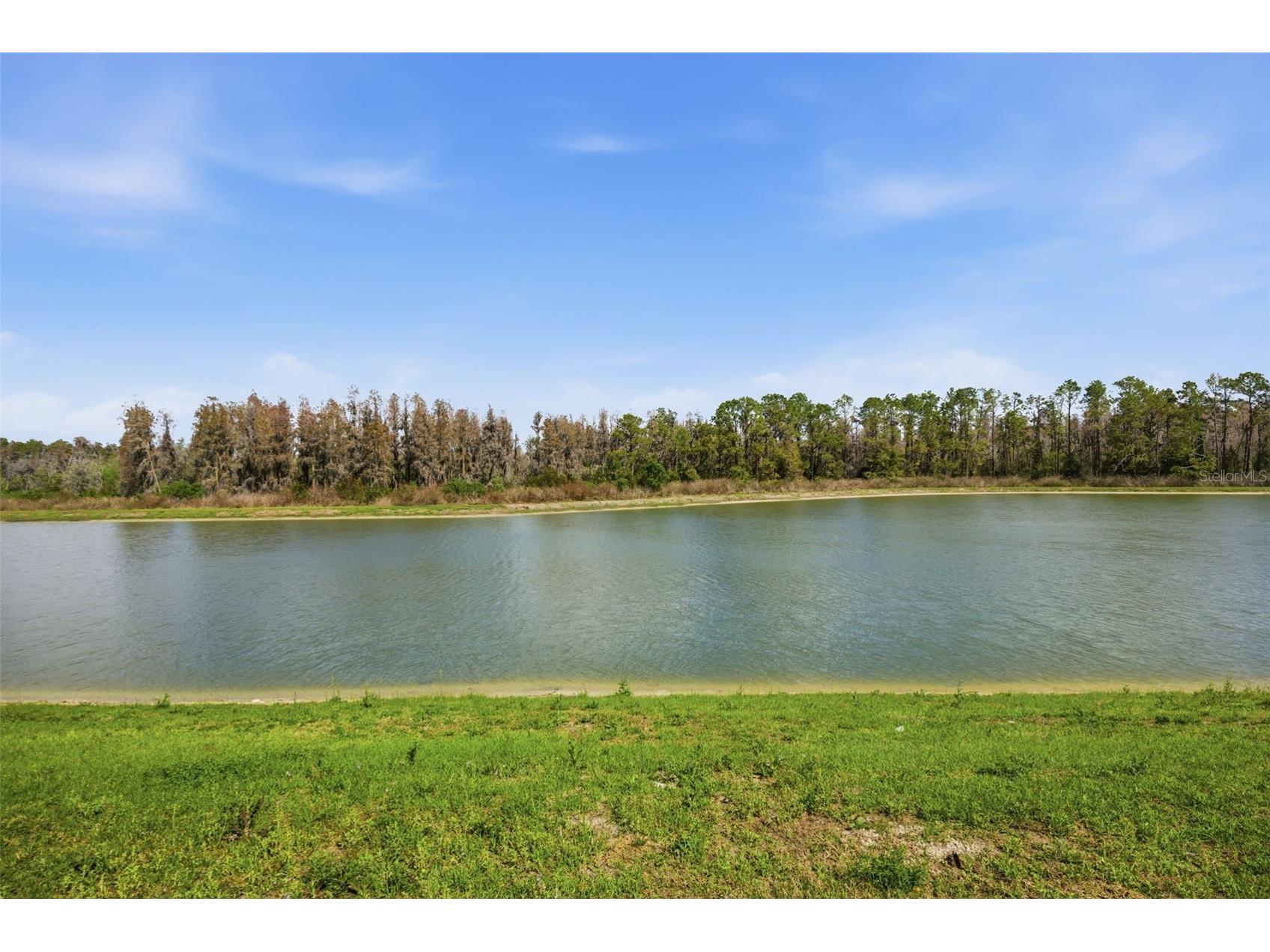 7771 Notched Pine Bend Wesley Chapel FL 33545 TB8485776 image69