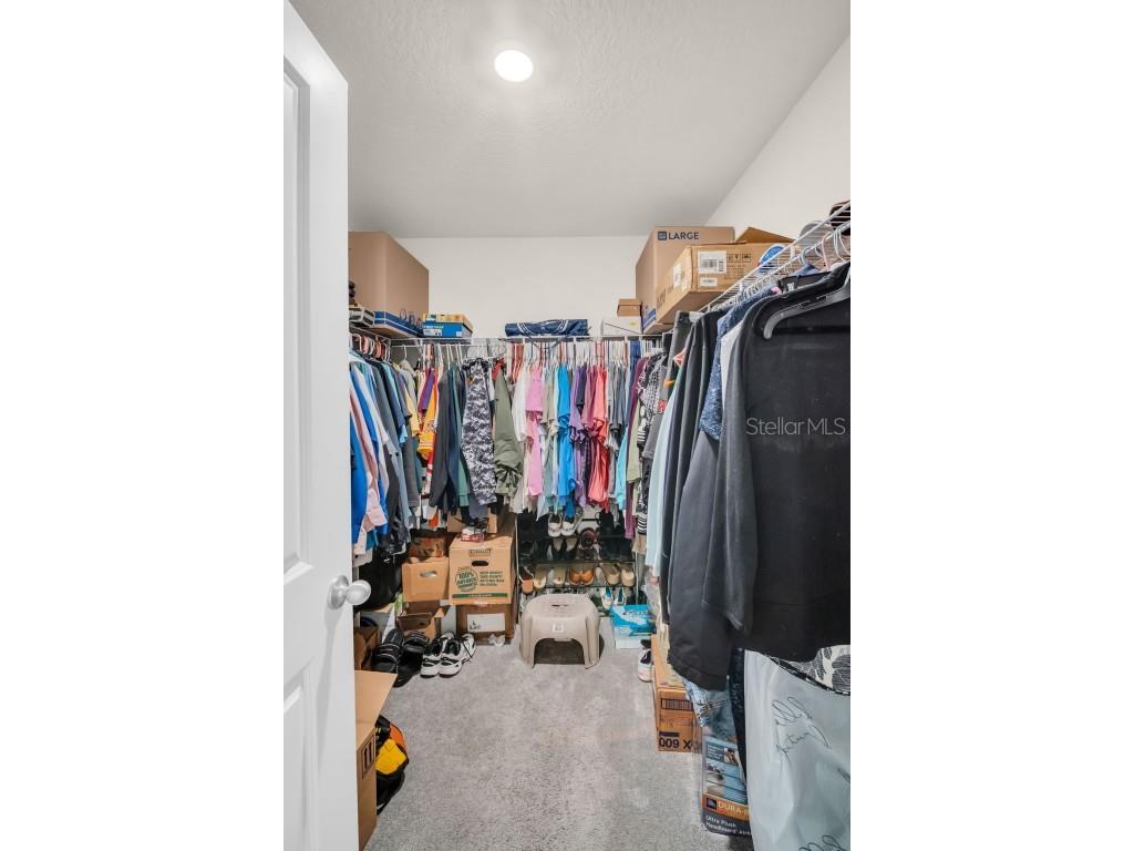 7774 Sail Clover Lane Zephyrhills FL 33540 TB8398722 image25