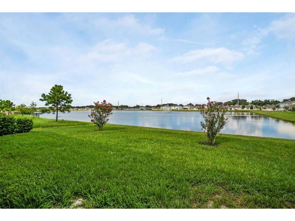 7774 Sail Clover Lane Zephyrhills FL 33540 TB8398722 image28