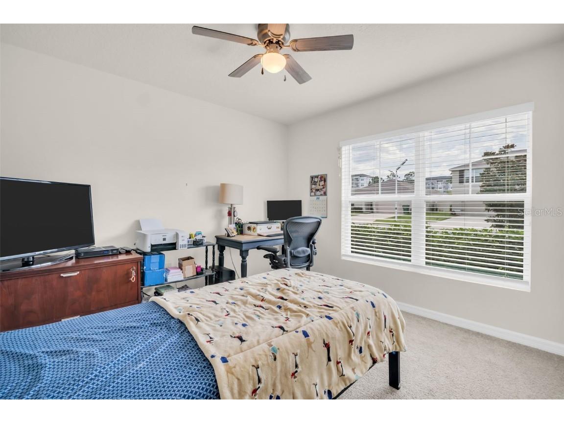 7774 Sail Clover Lane Zephyrhills FL 33540 TB8398722 image33