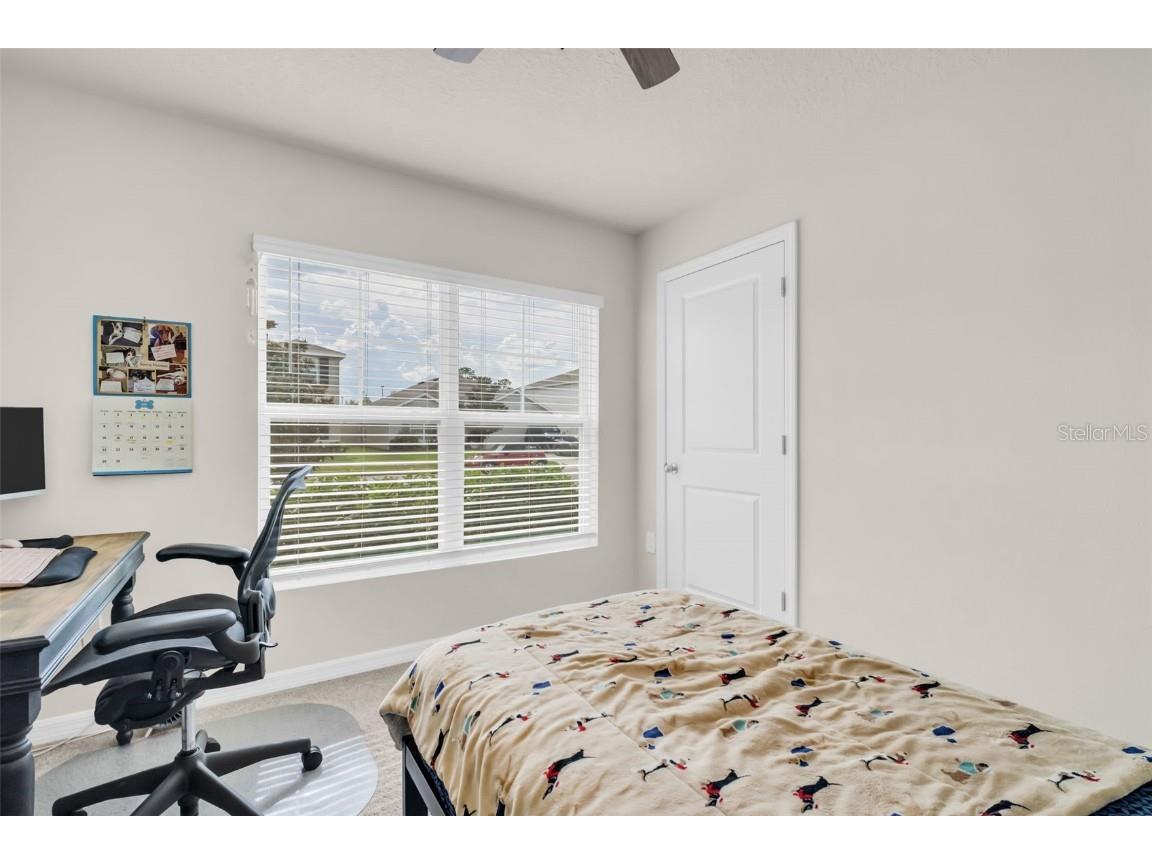 7774 Sail Clover Lane Zephyrhills FL 33540 TB8398722 image37