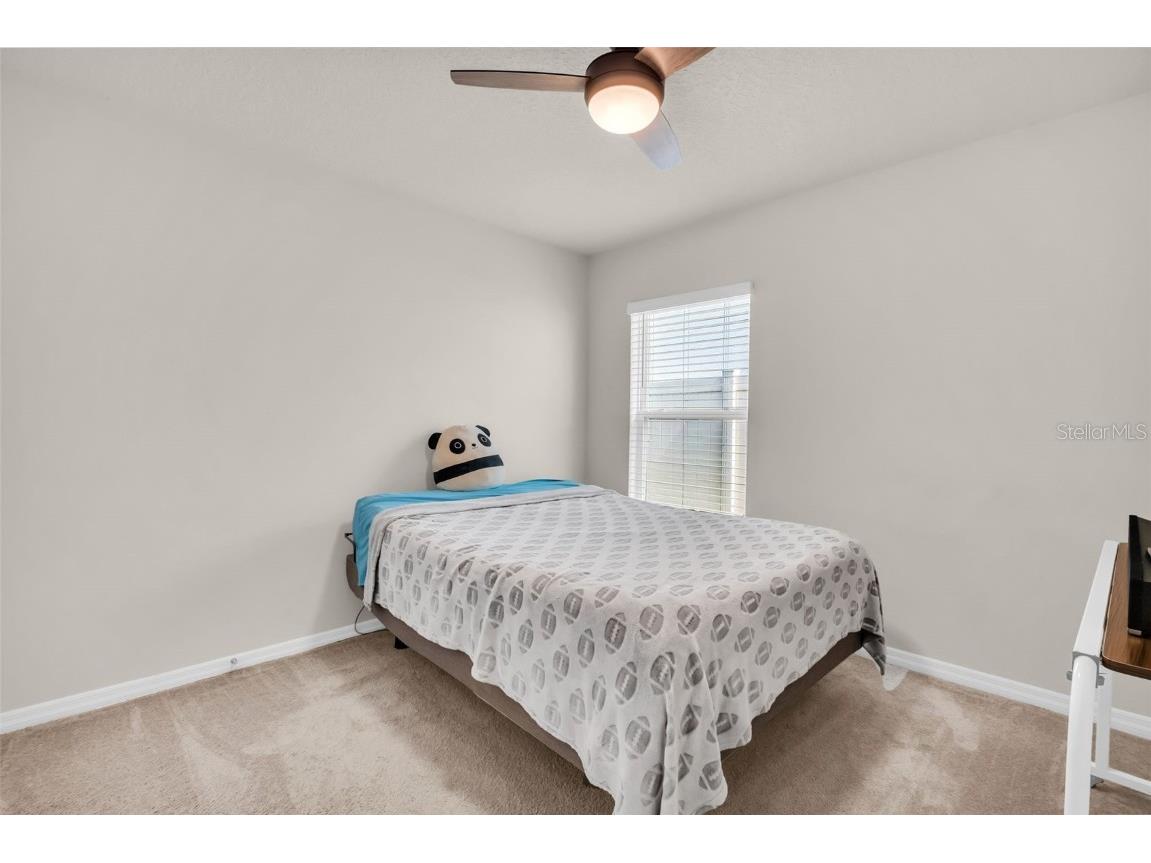 7774 Sail Clover Lane Zephyrhills FL 33540 TB8398722 image38