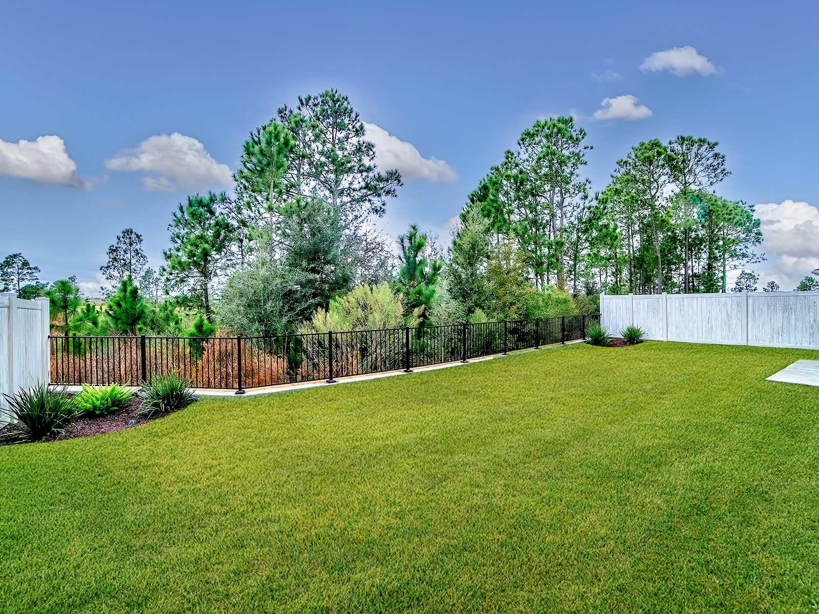 7778 Brian Etheredge Way The Villages FL 34762 G5107304 image44