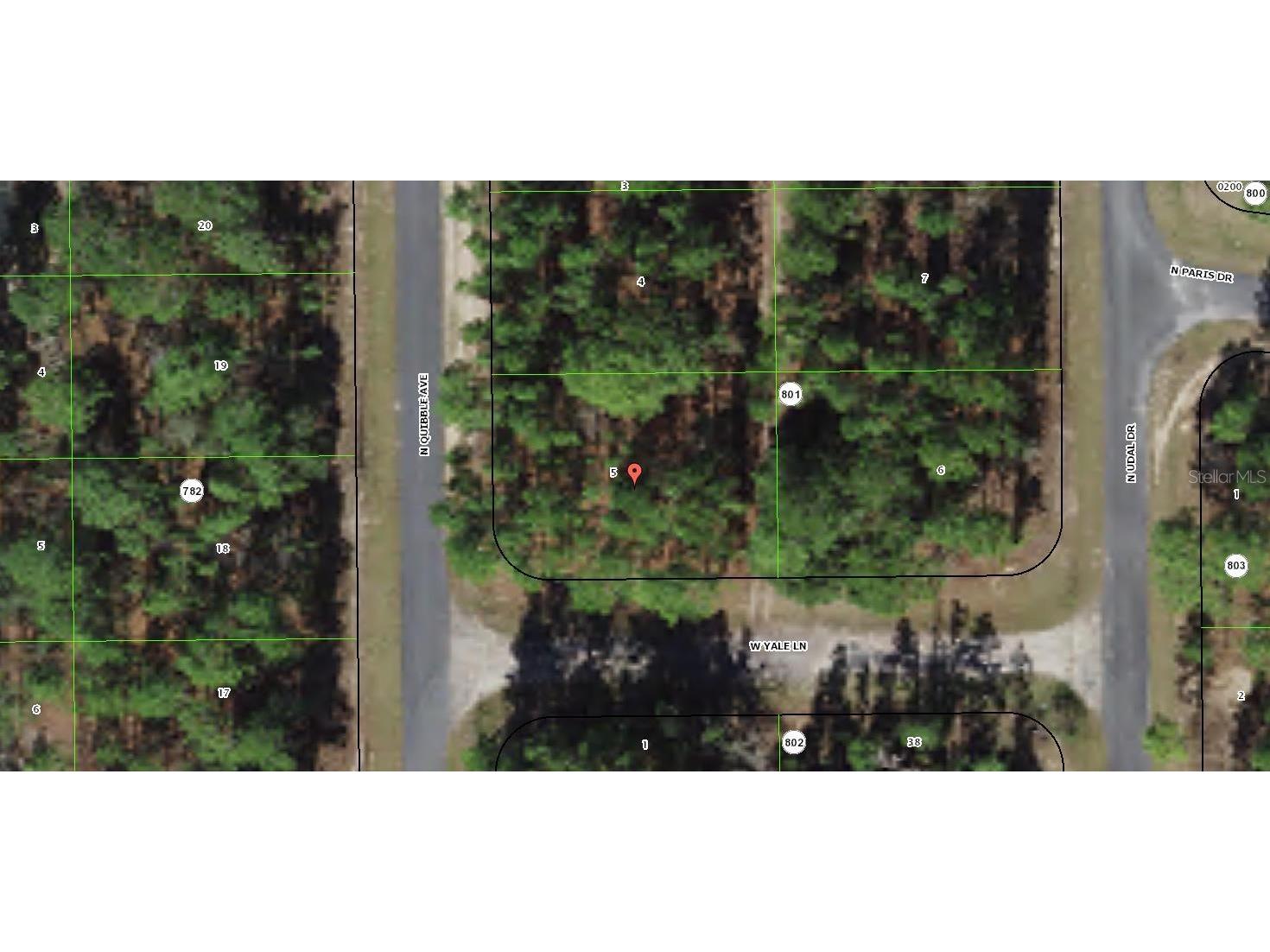 7779 N Quibble Avenue Citrus Springs FL 34434 FC293696 image1